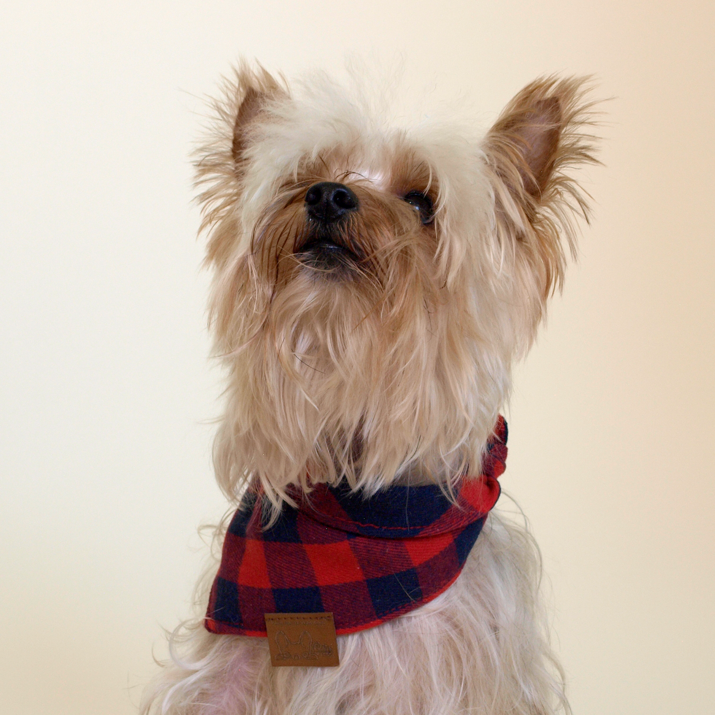 Christmas Chess Bandana
