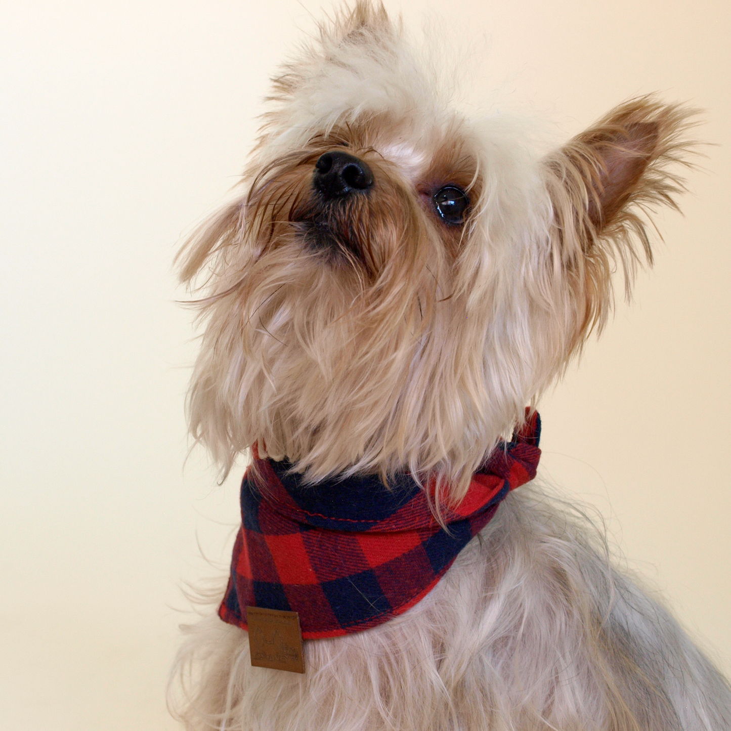 Christmas Chess Bandana