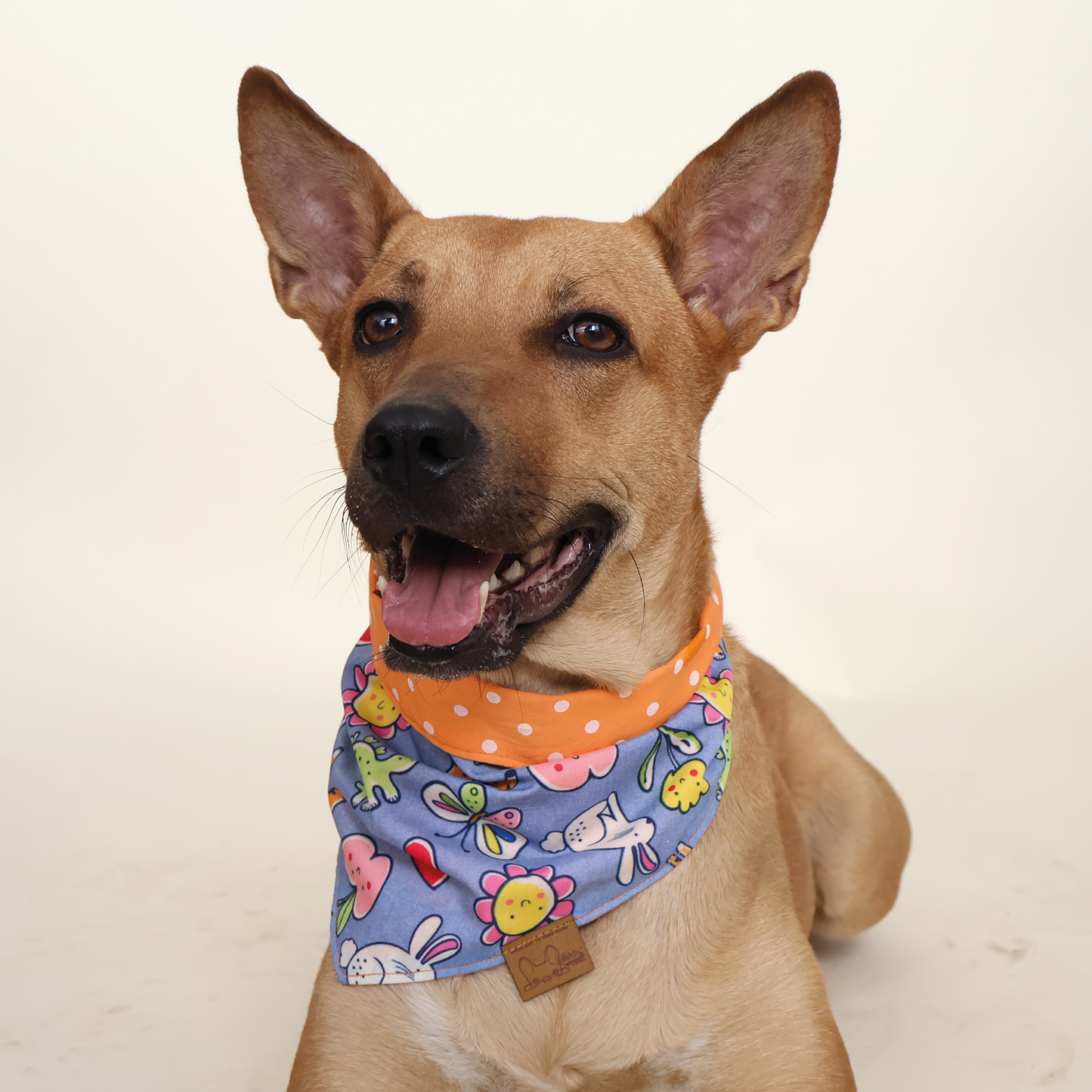 perro mestizo grande con bandana estampado conejos, flores y mariposas