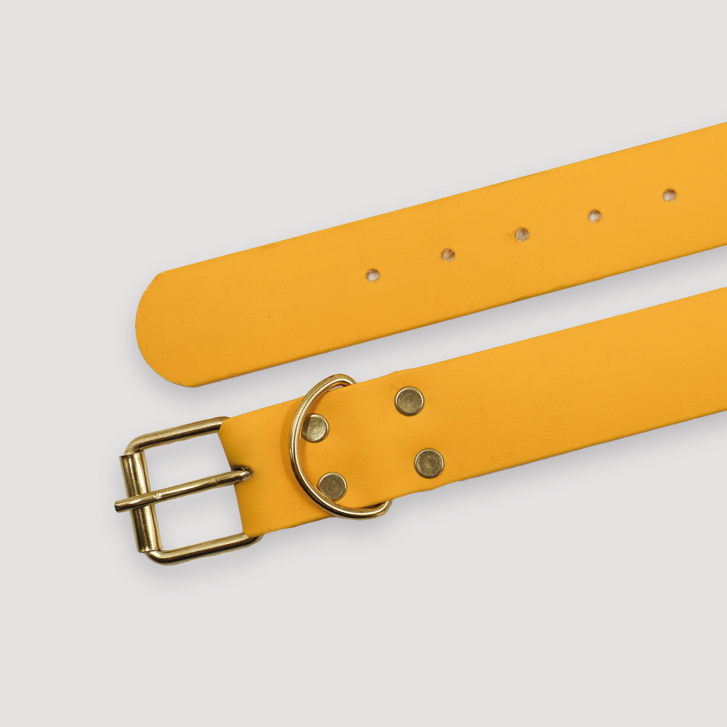 Collar Yellow