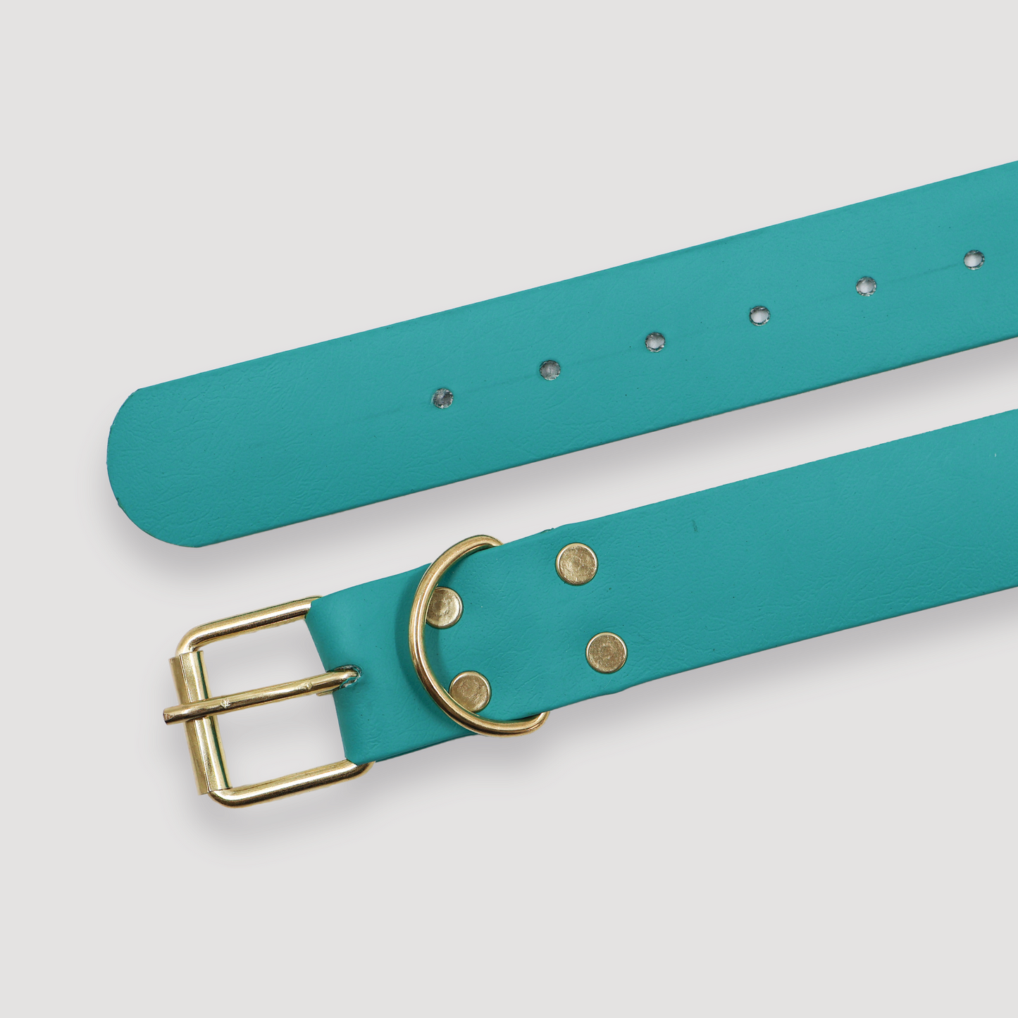 Collar aqua para perro.