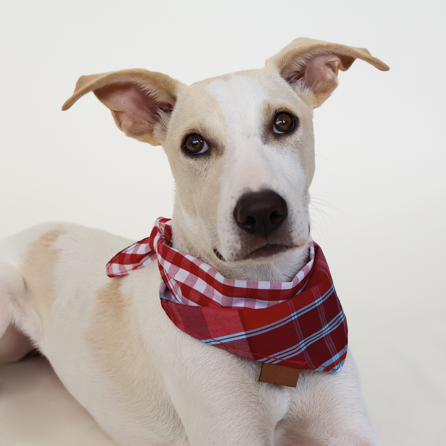 Bandana Gentleman