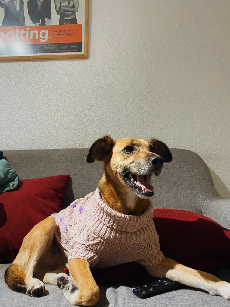 Grandma Sweater