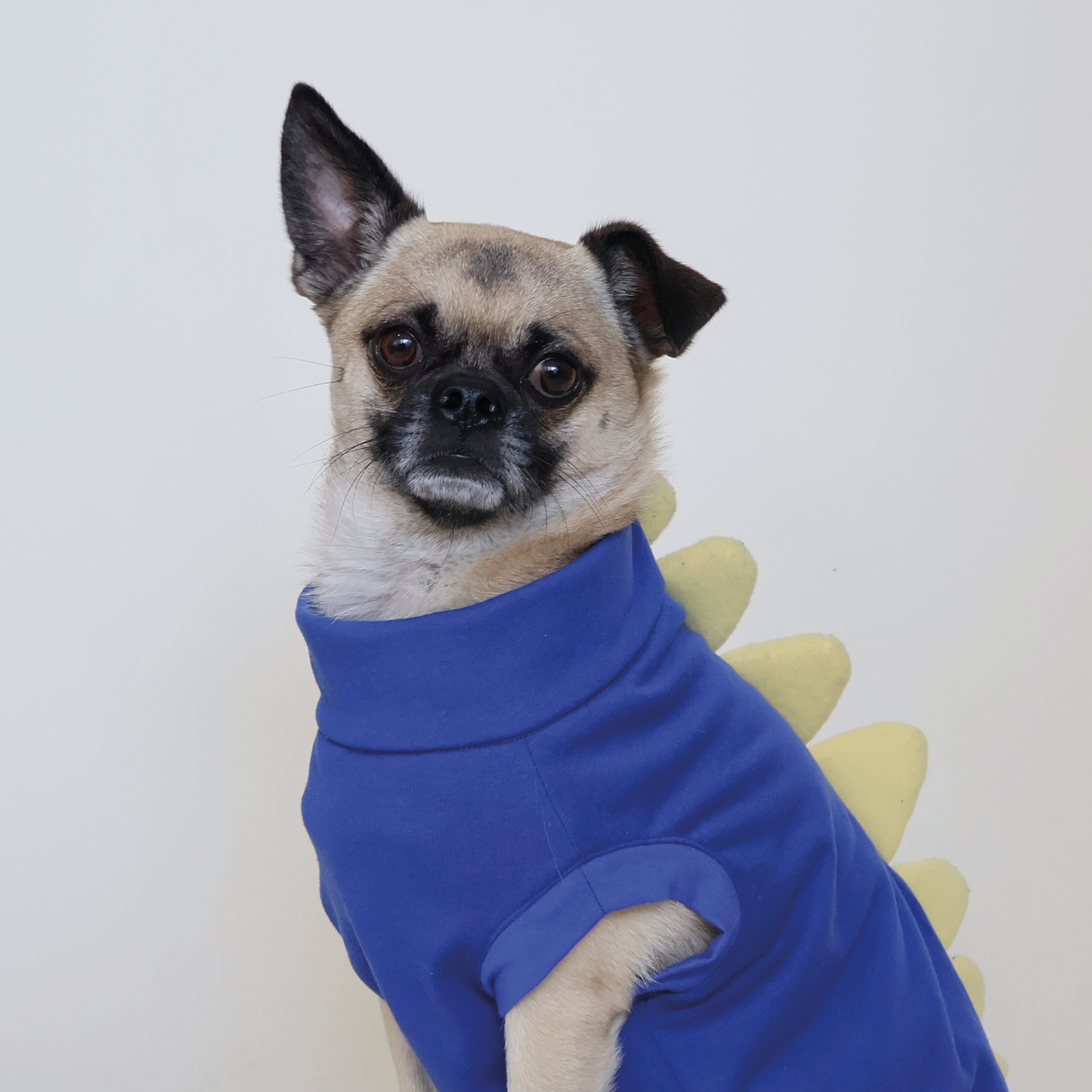 Dinos Sweatshirt Purple