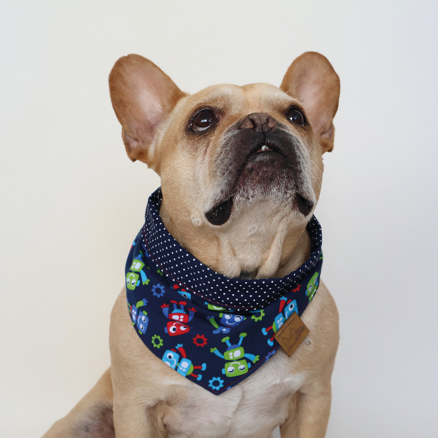 Robot Bandana