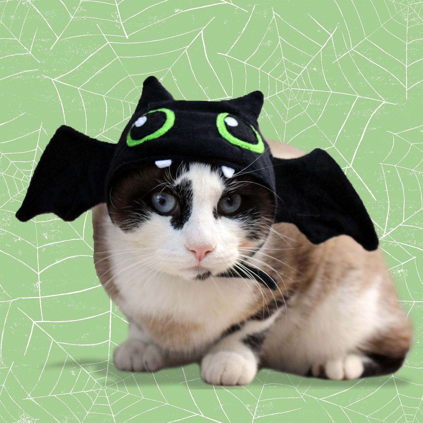 Gorrito Murciélago