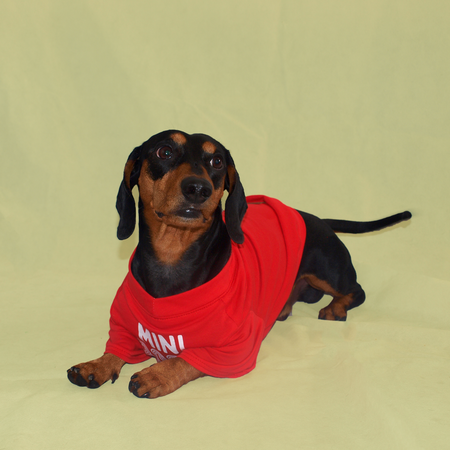 "Mini Boss" T-Shirt