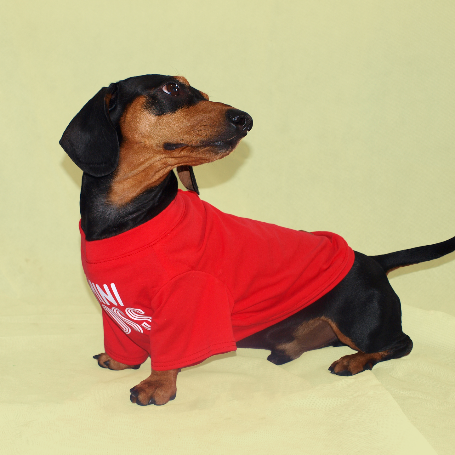 "Mini Boss" T-Shirt