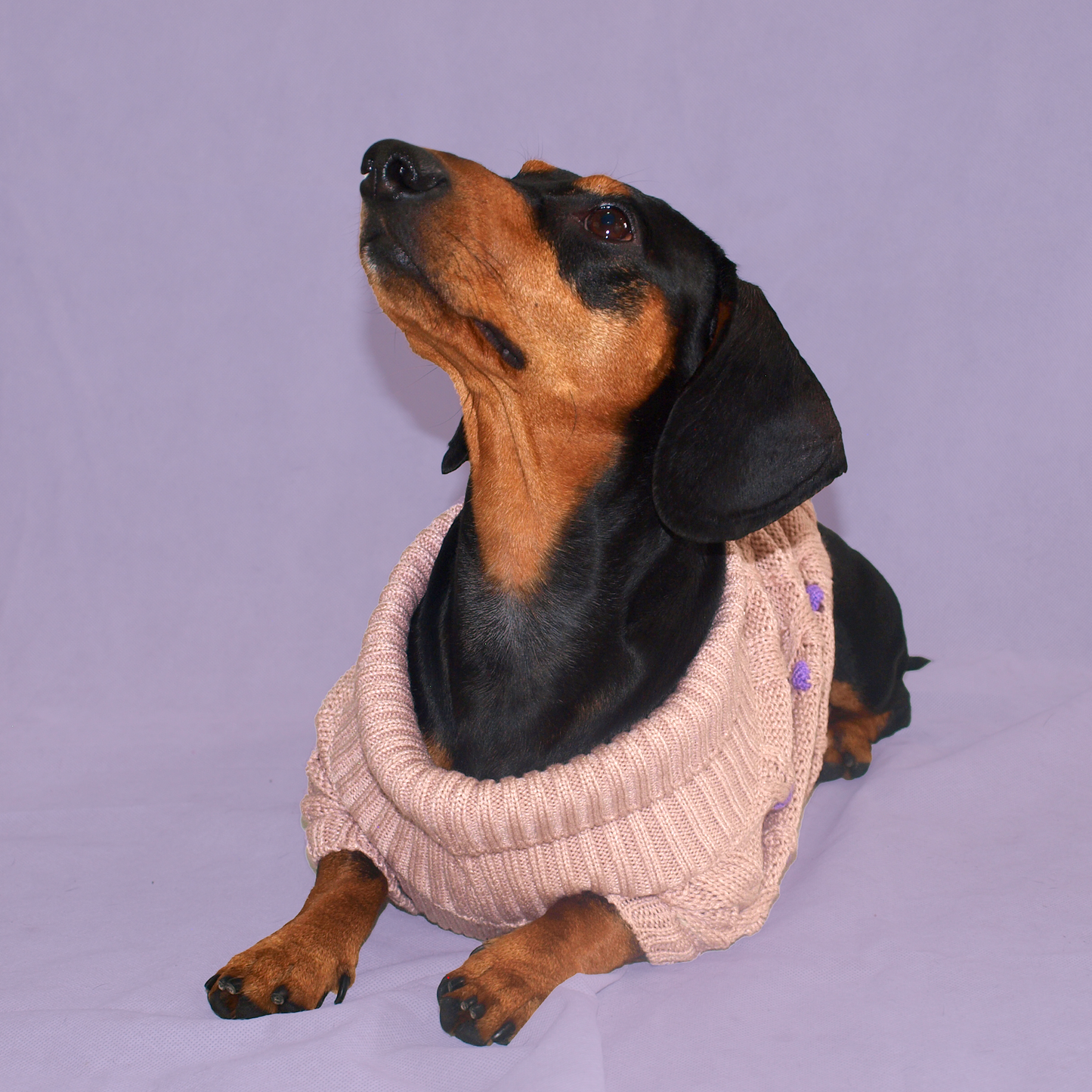 Grandma Sweater