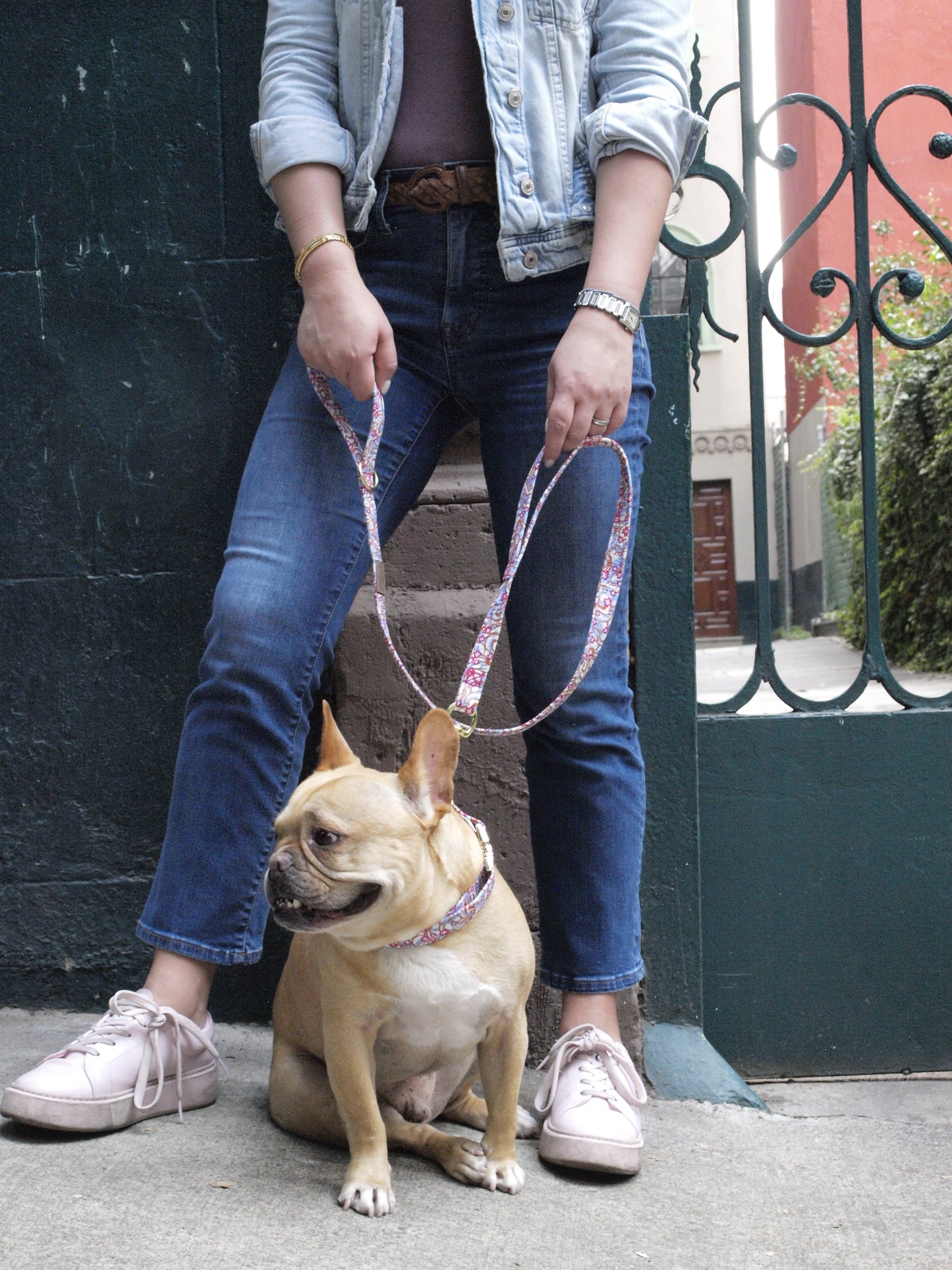 City of Stars Leash