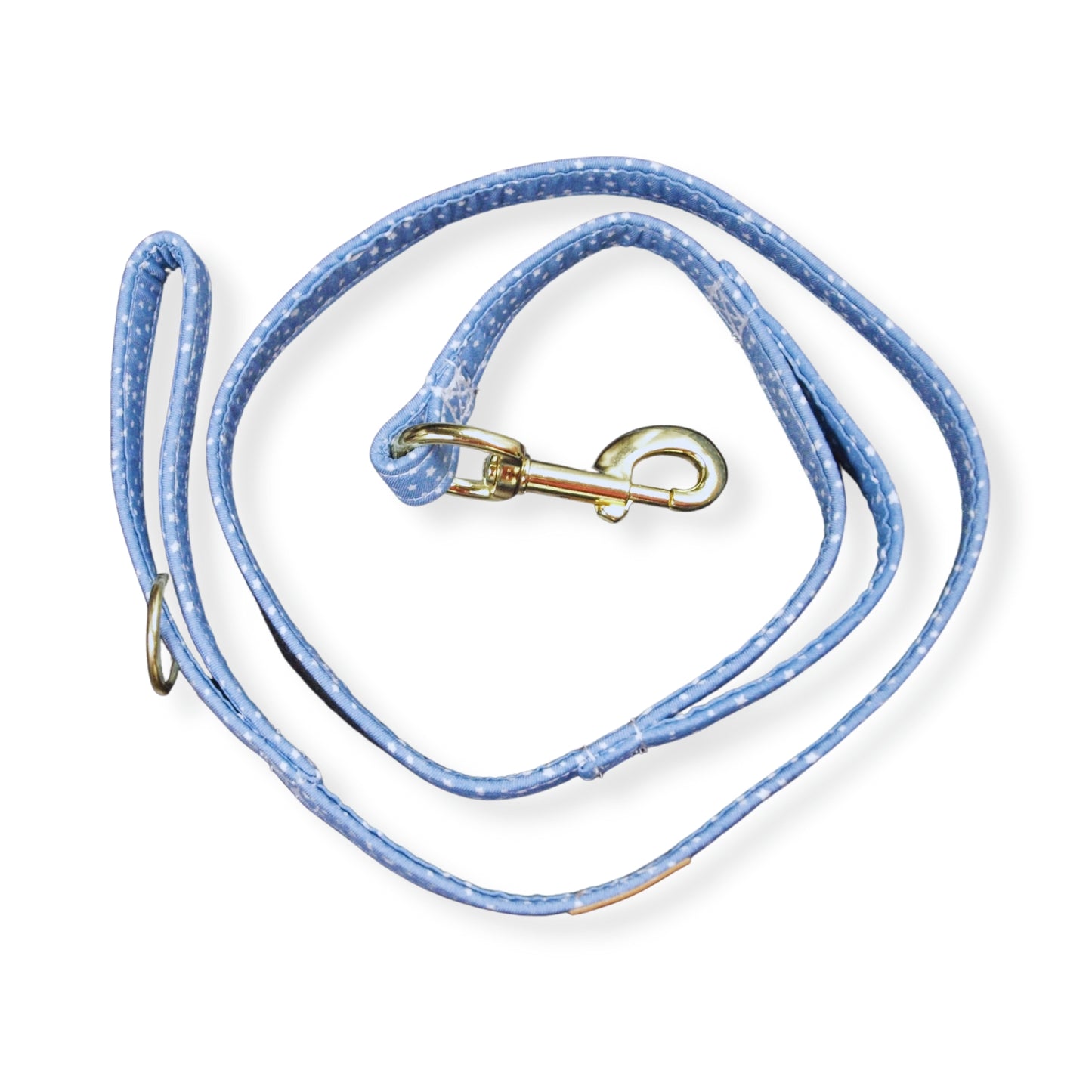 City of Stars Leash