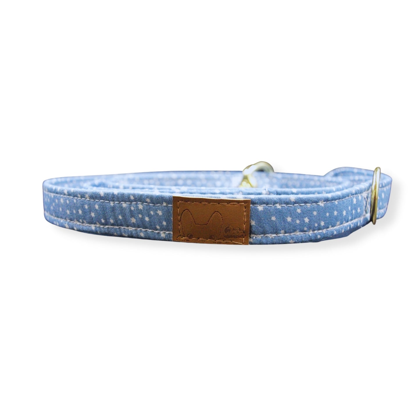 City of Stars Leash
