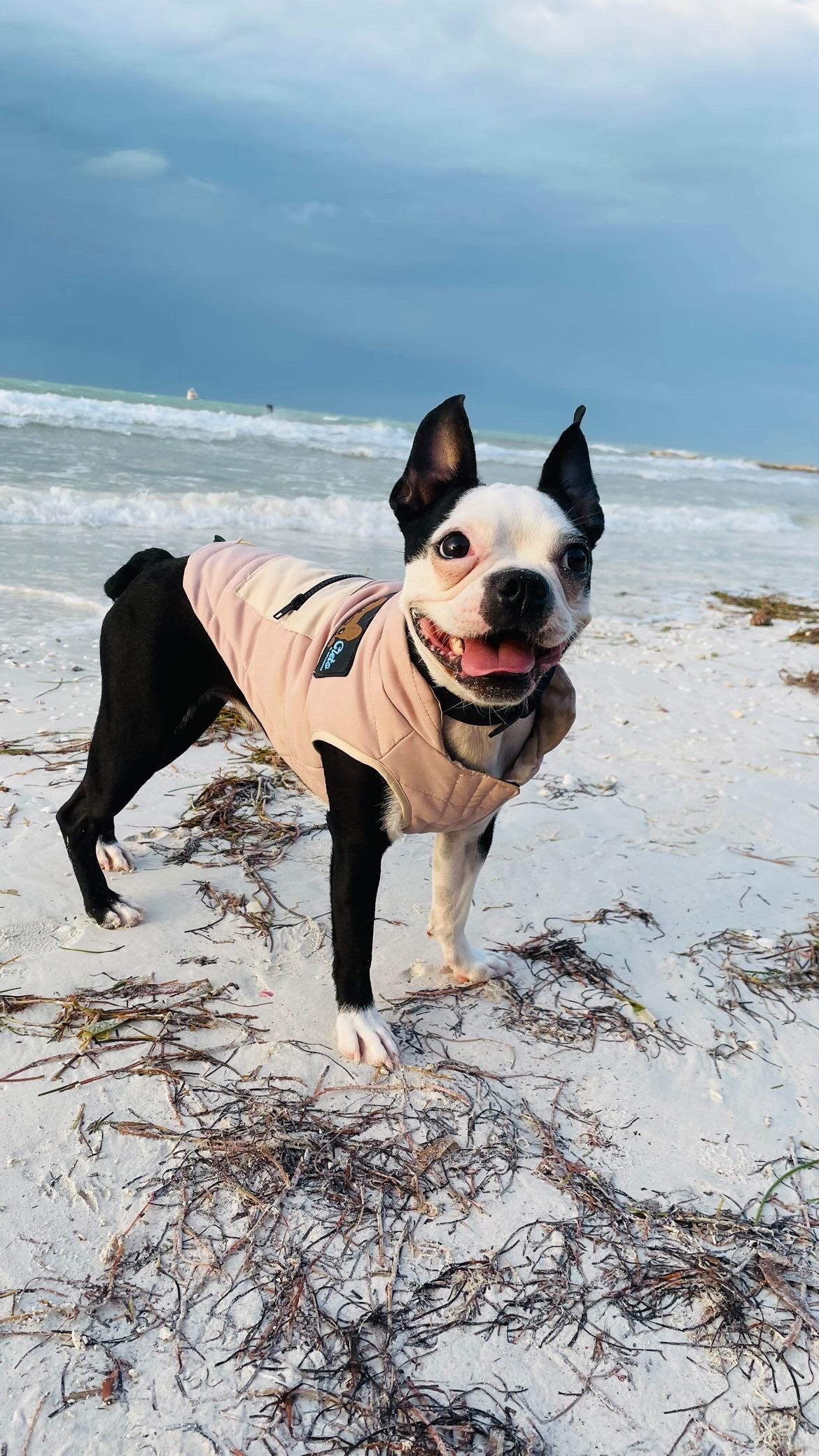 Puffy Vest