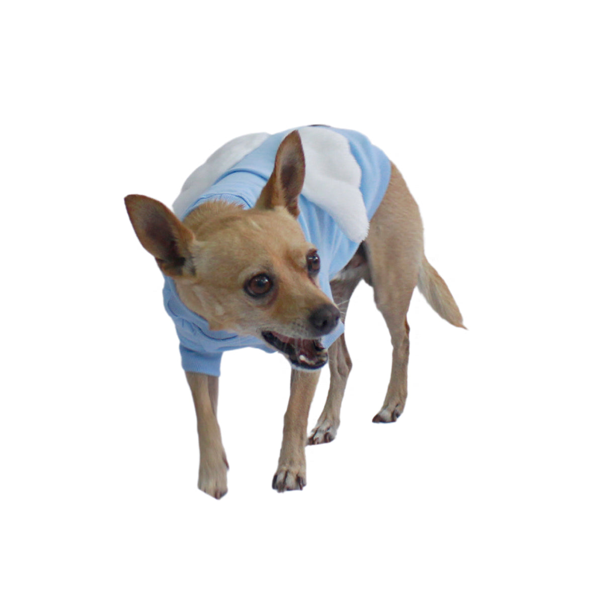 Sudadera Little Angel