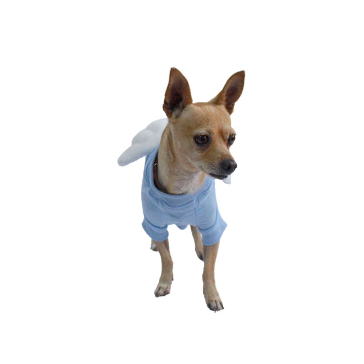 Sudadera Little Angel