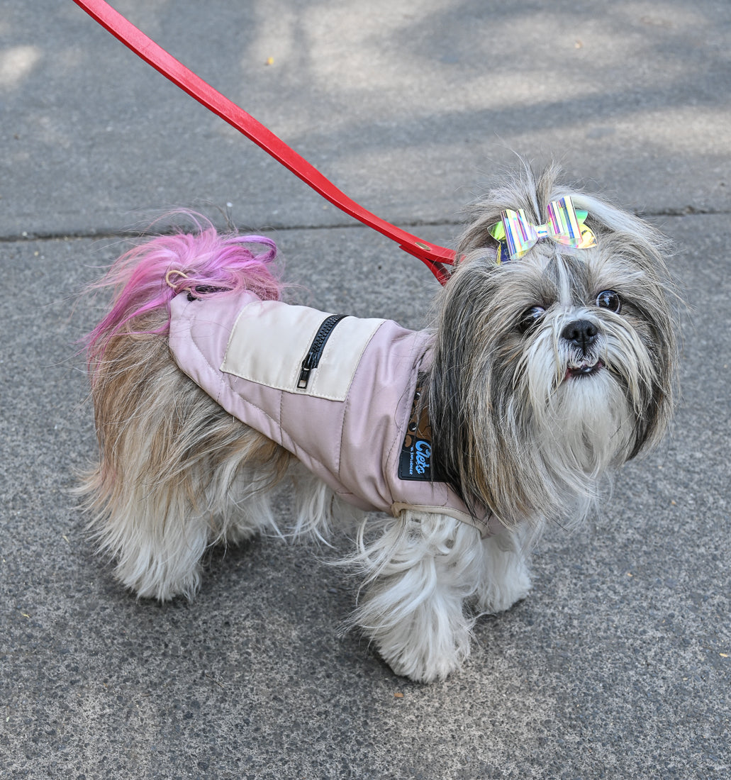 Puffy Vest