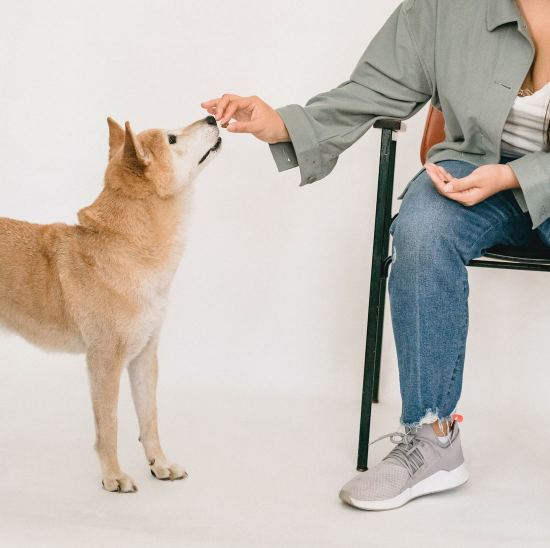 Los beneficios del pulmón de cerdo deshidratado para la salud de tu perro