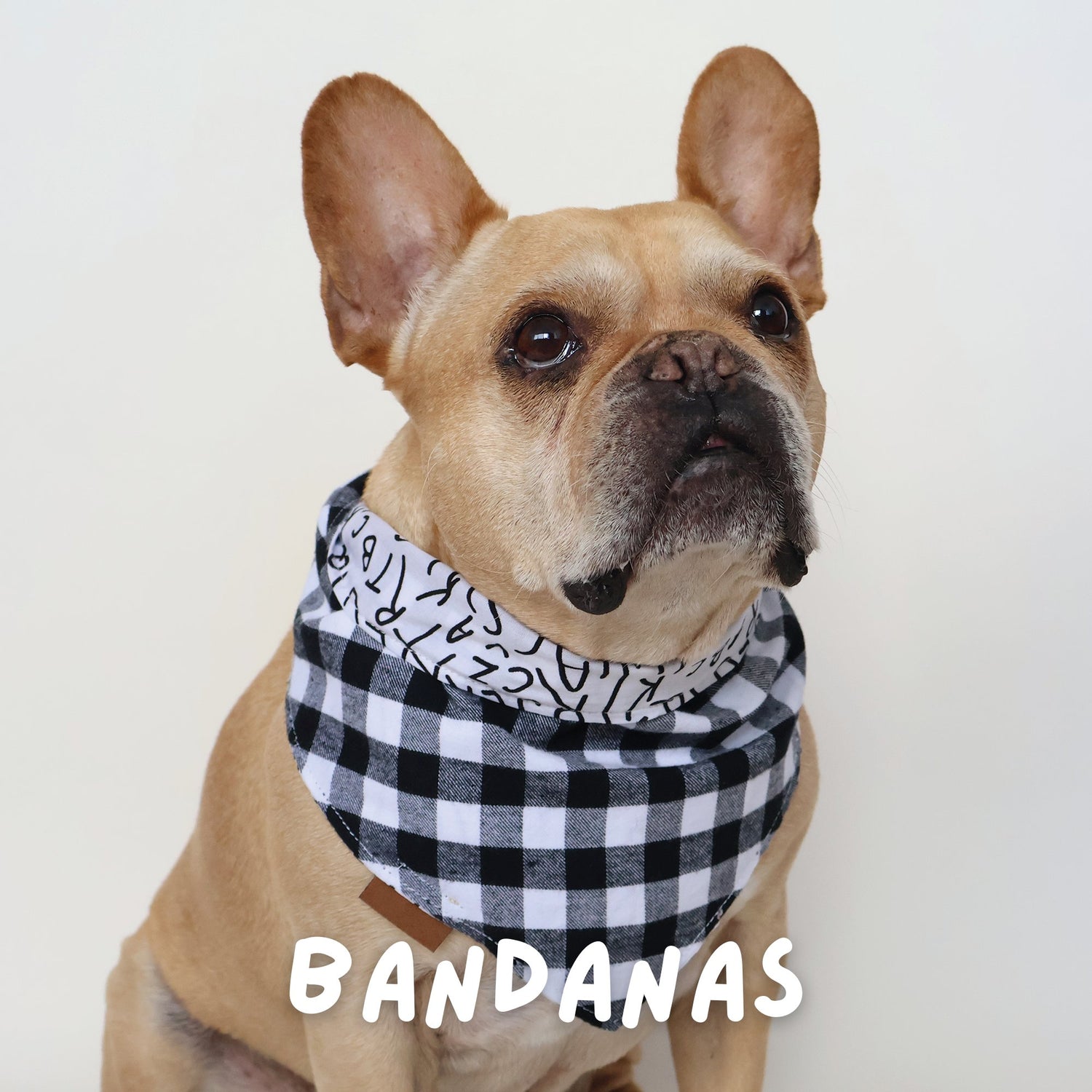 Bandanas