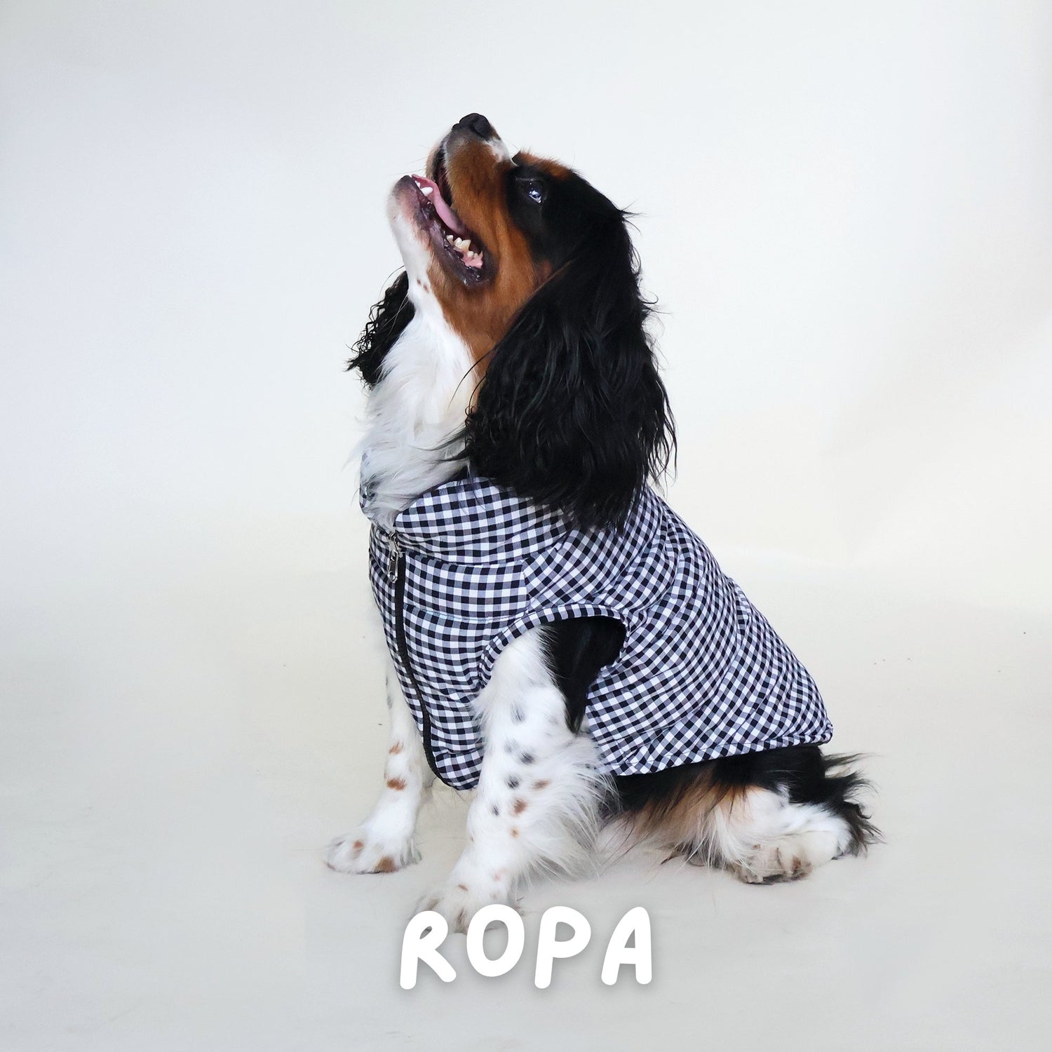 Ropa