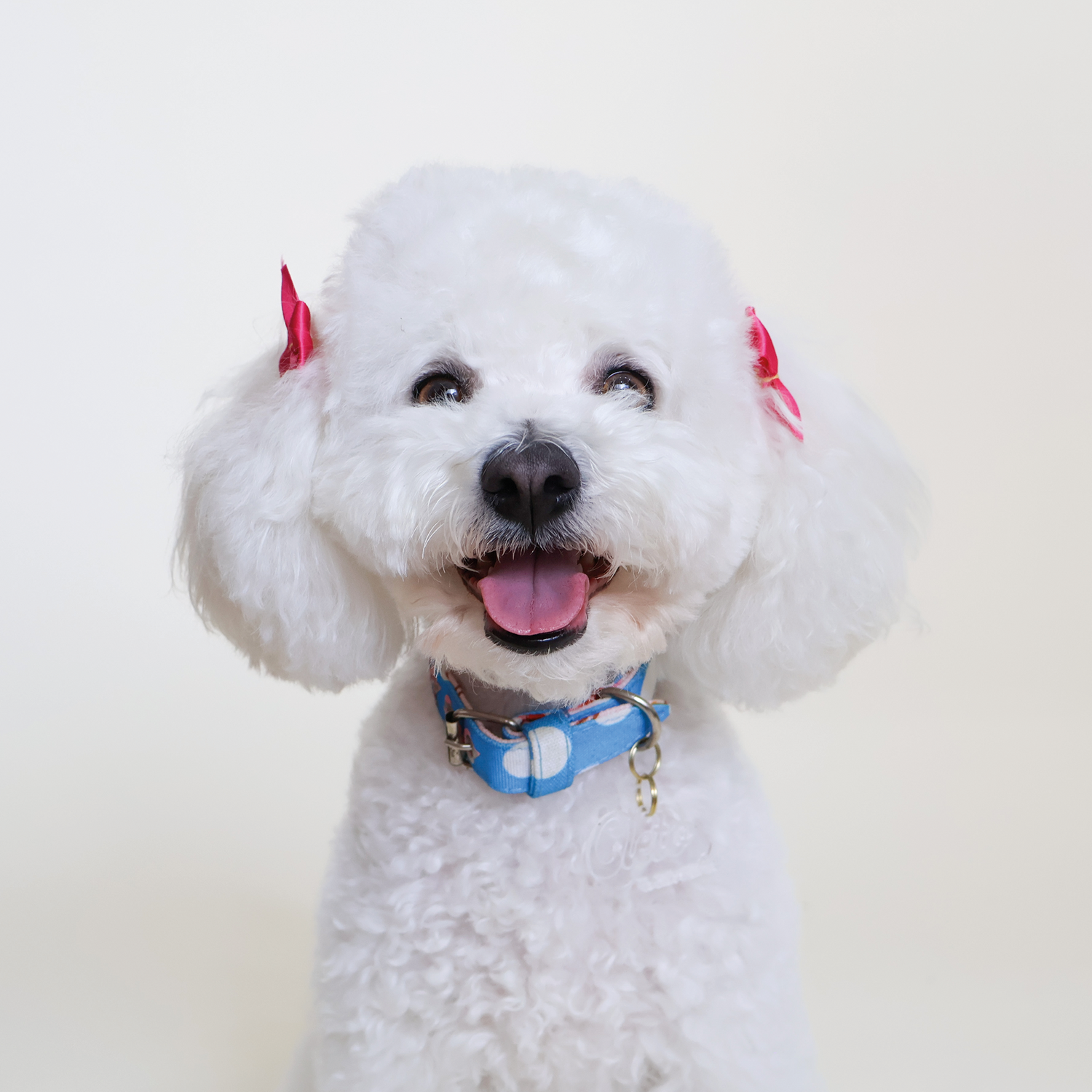 Collar Pink Bubbles