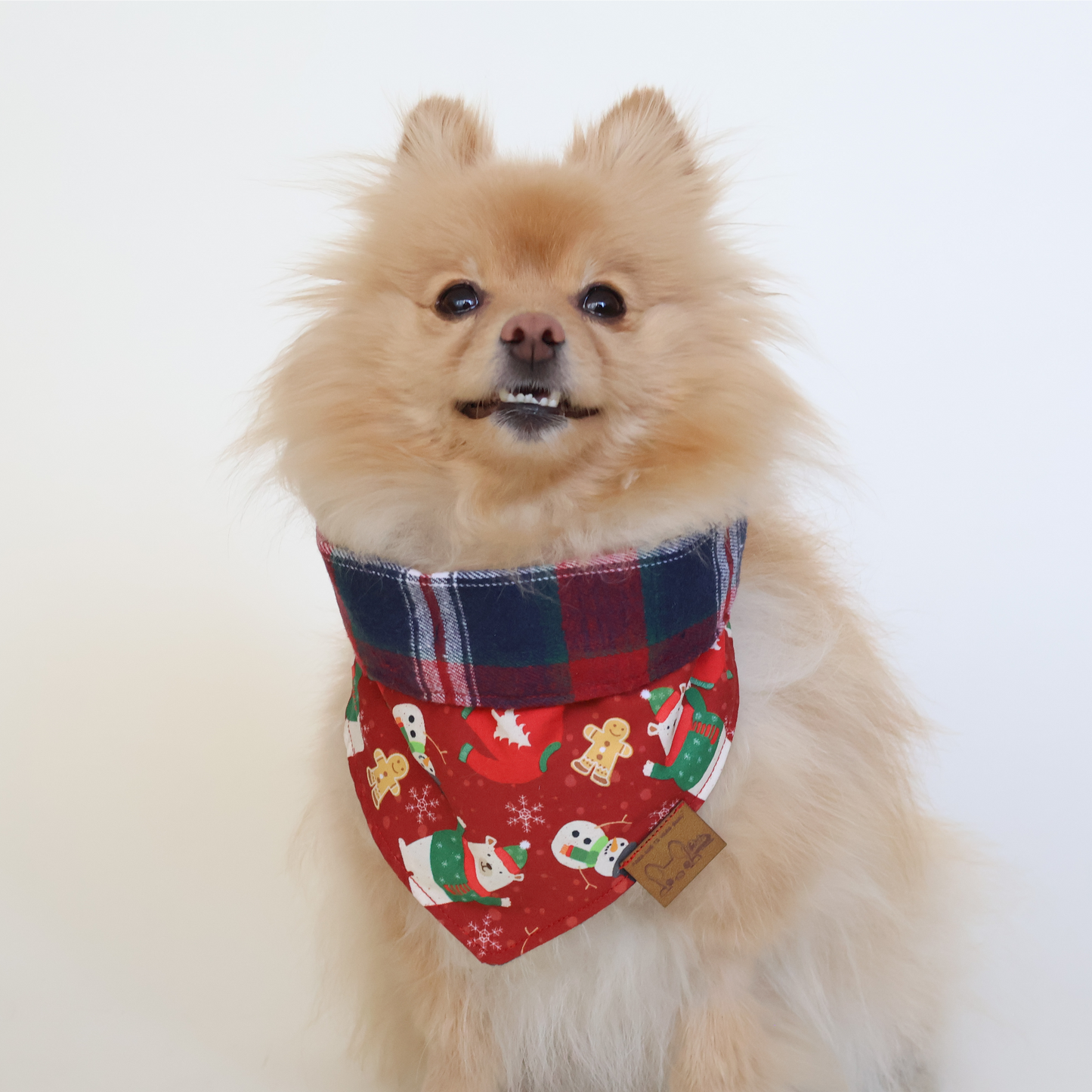 Bandana Villa Navideña