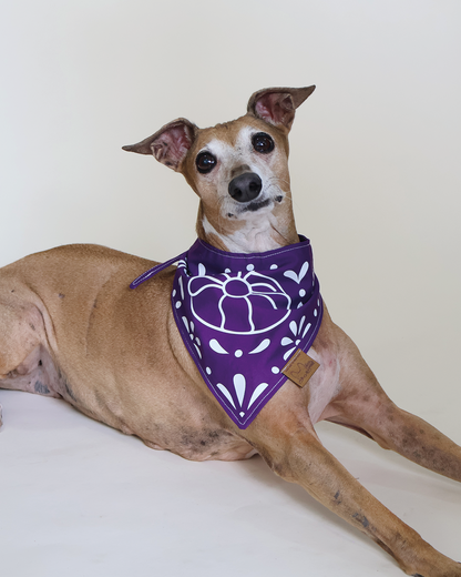 Bandana Pan de Muerto