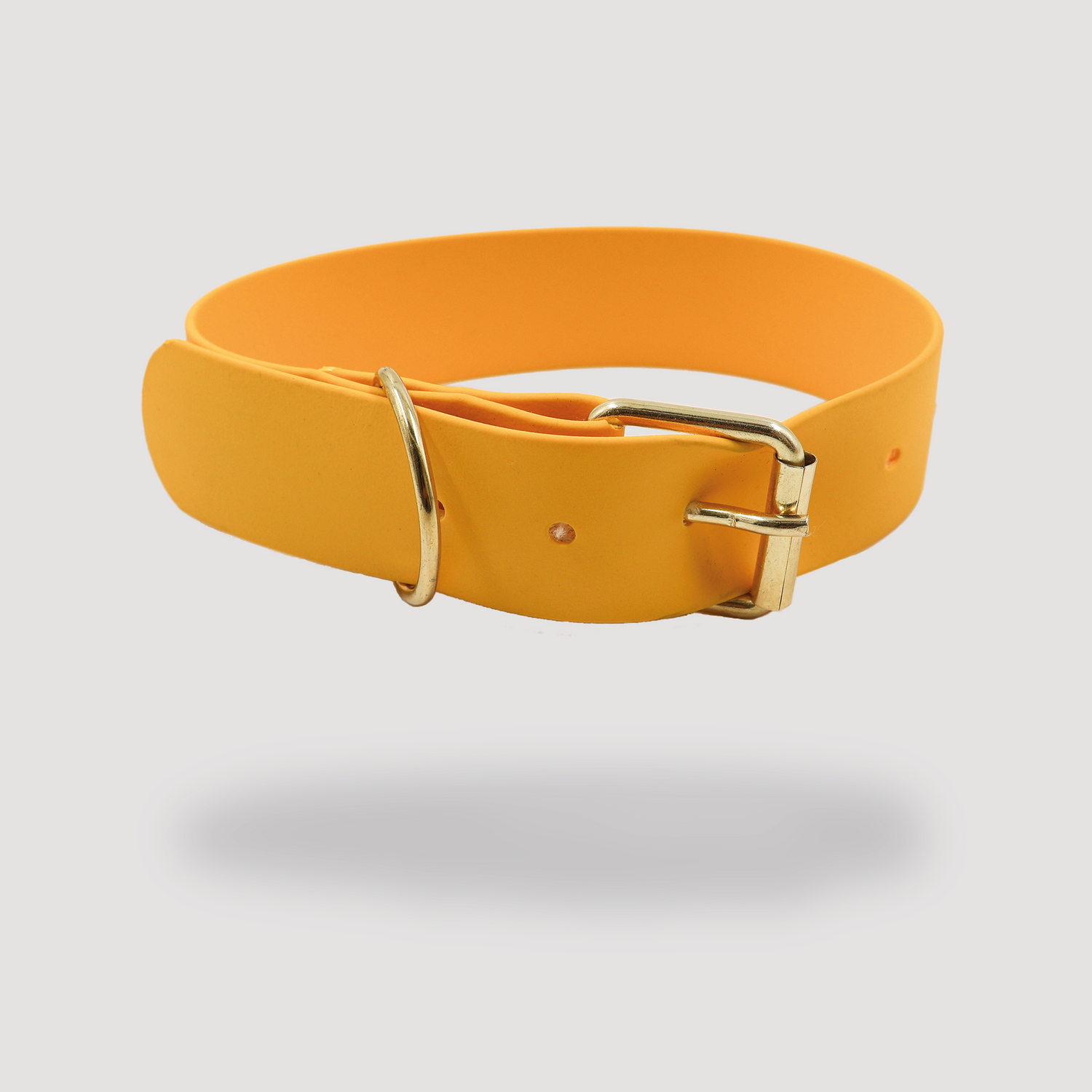 Collar Yellow