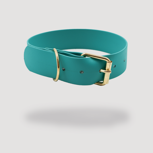 Collar aqua para perro.