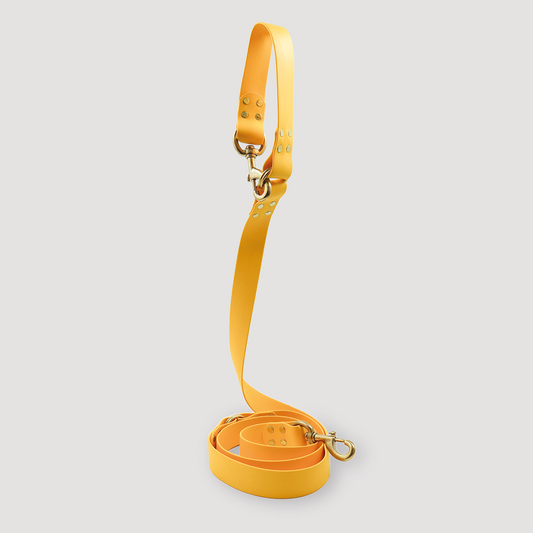 Correa Hands-Free Amarilla