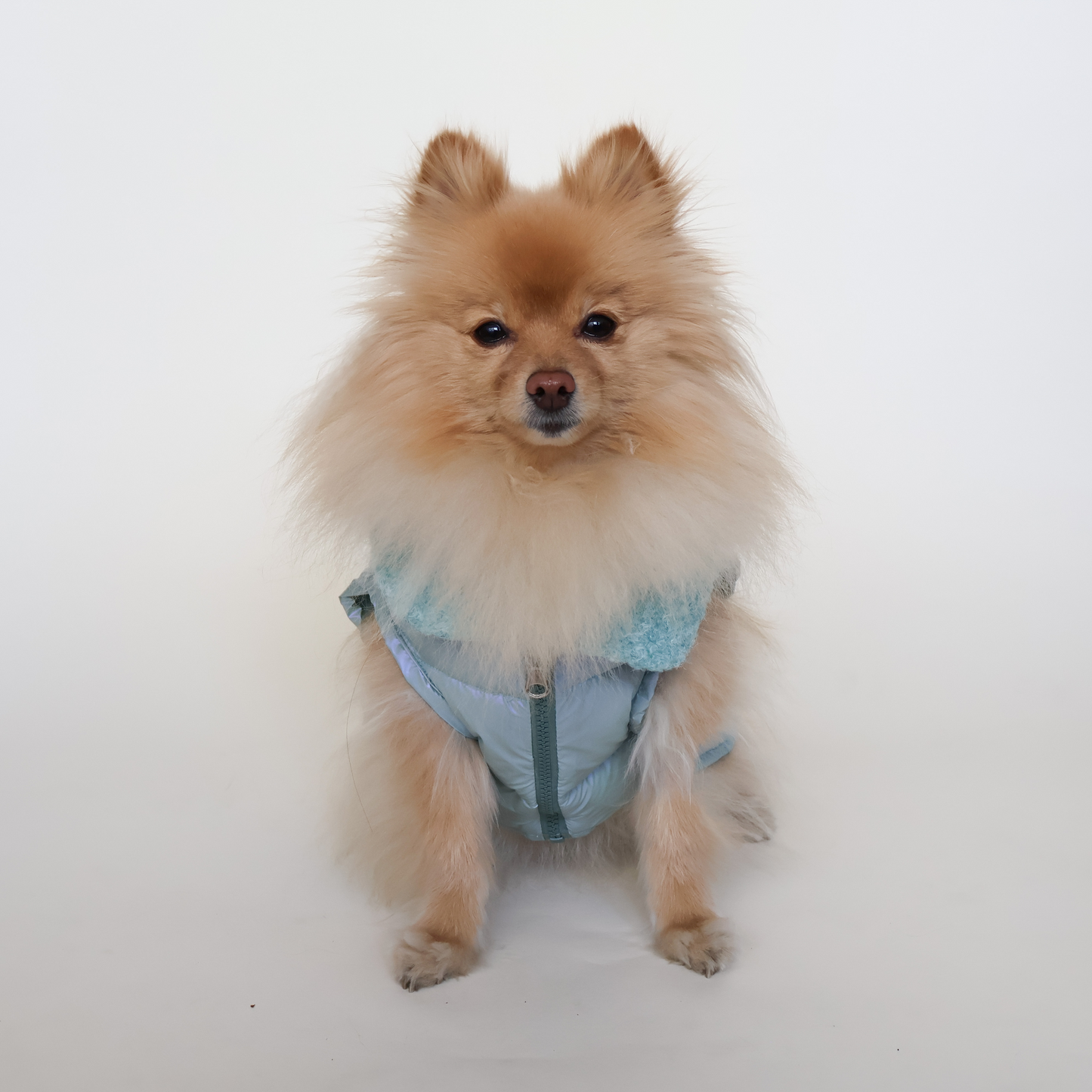 Chaleco Mint GlitzMAX