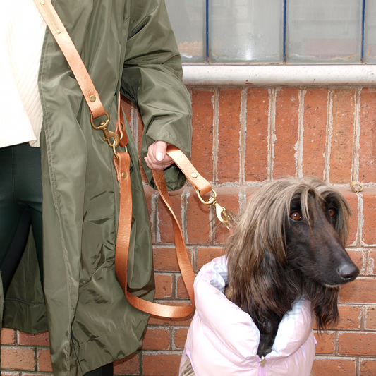 Hands-Free Bronze Leather Leash