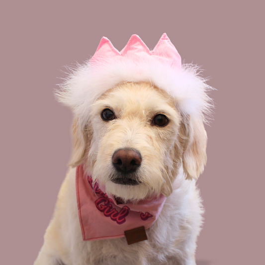 Pink Birthday Party Crown