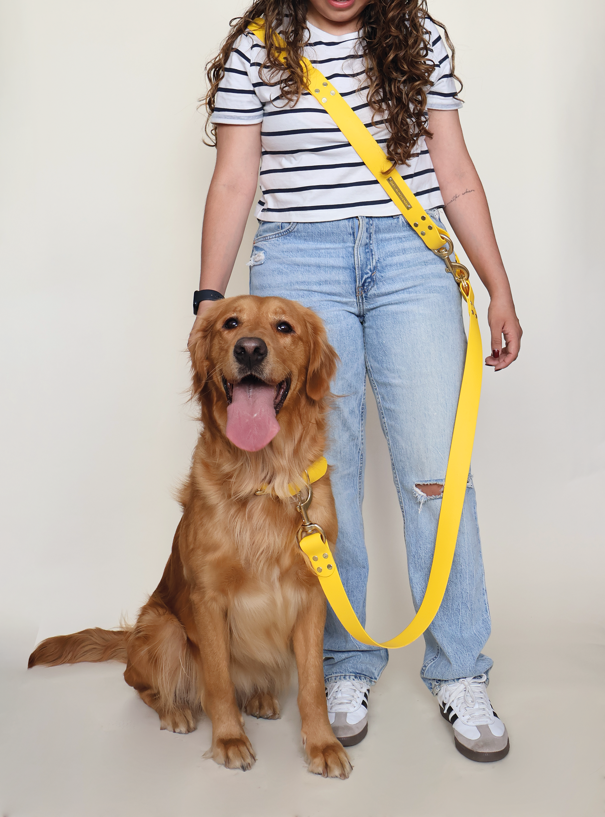 perro con correa hands free amarilla