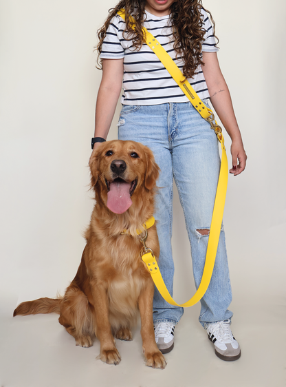 perro con correa hands free amarilla