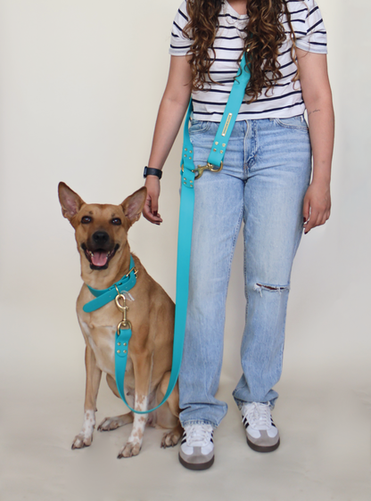 perro con correa hands free