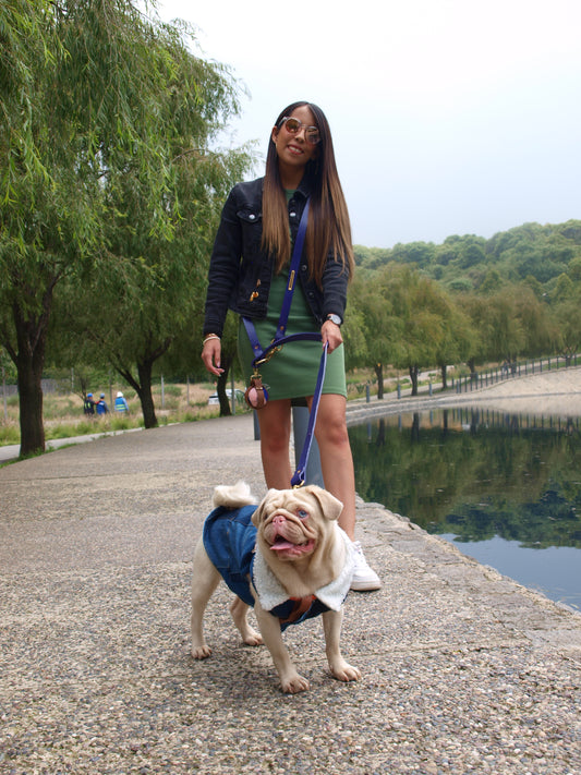 Hands-Free Purple Leather Leash