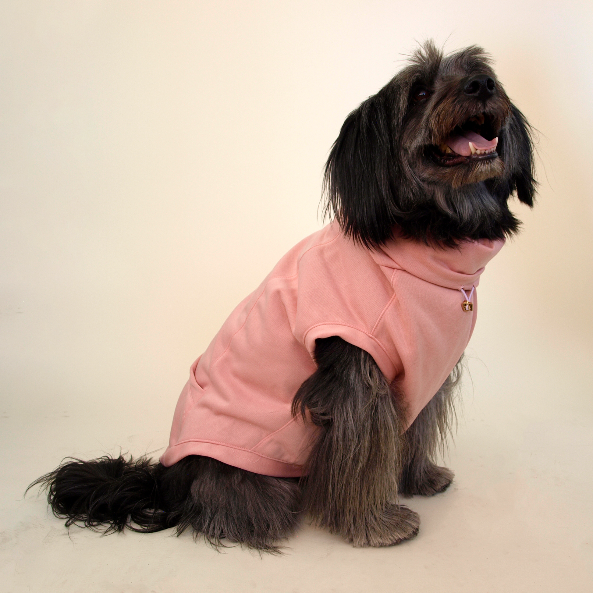 Perro tamaño grandes de pelo negro y largo usando sudadera rosa claro.
