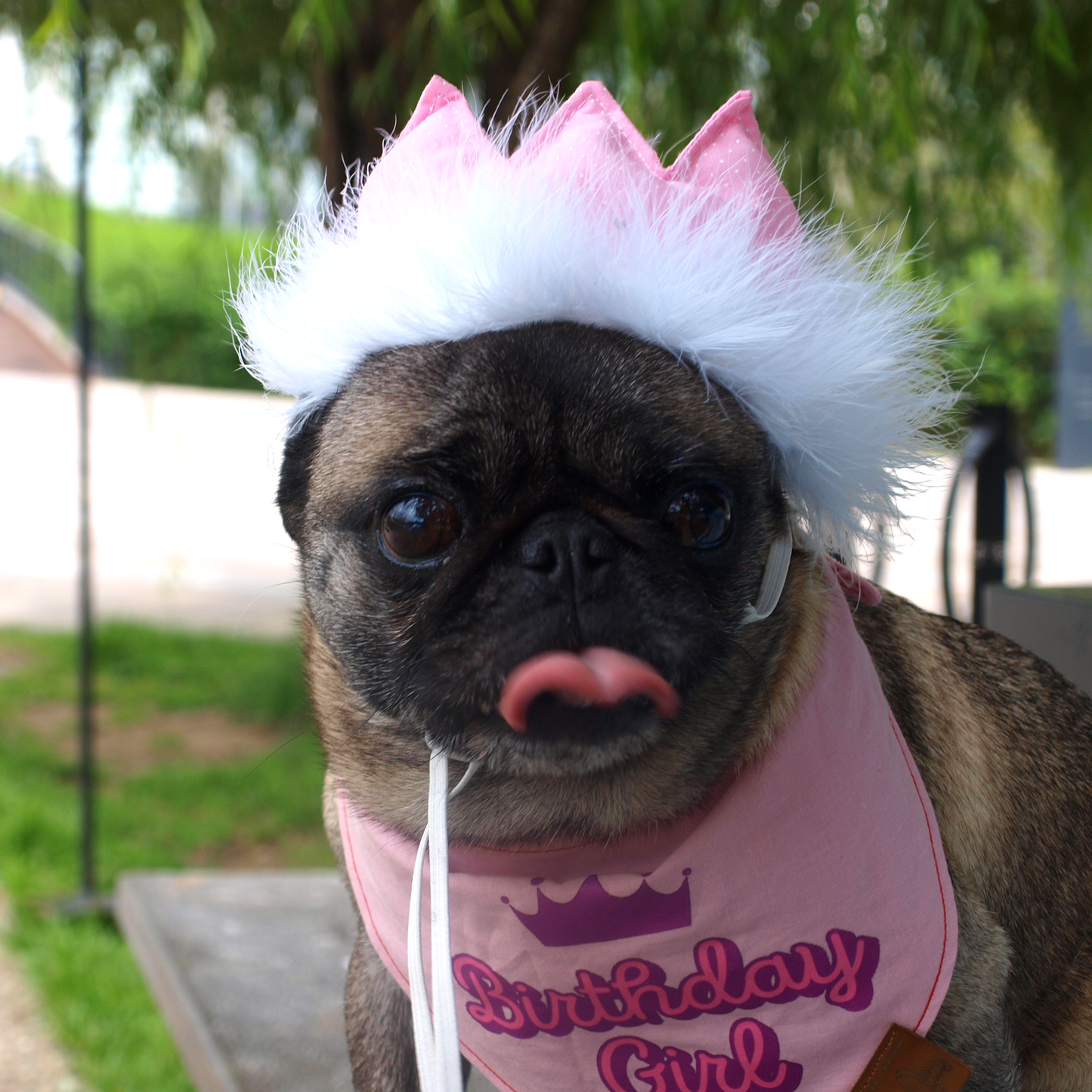 Pink Birthday Party Crown