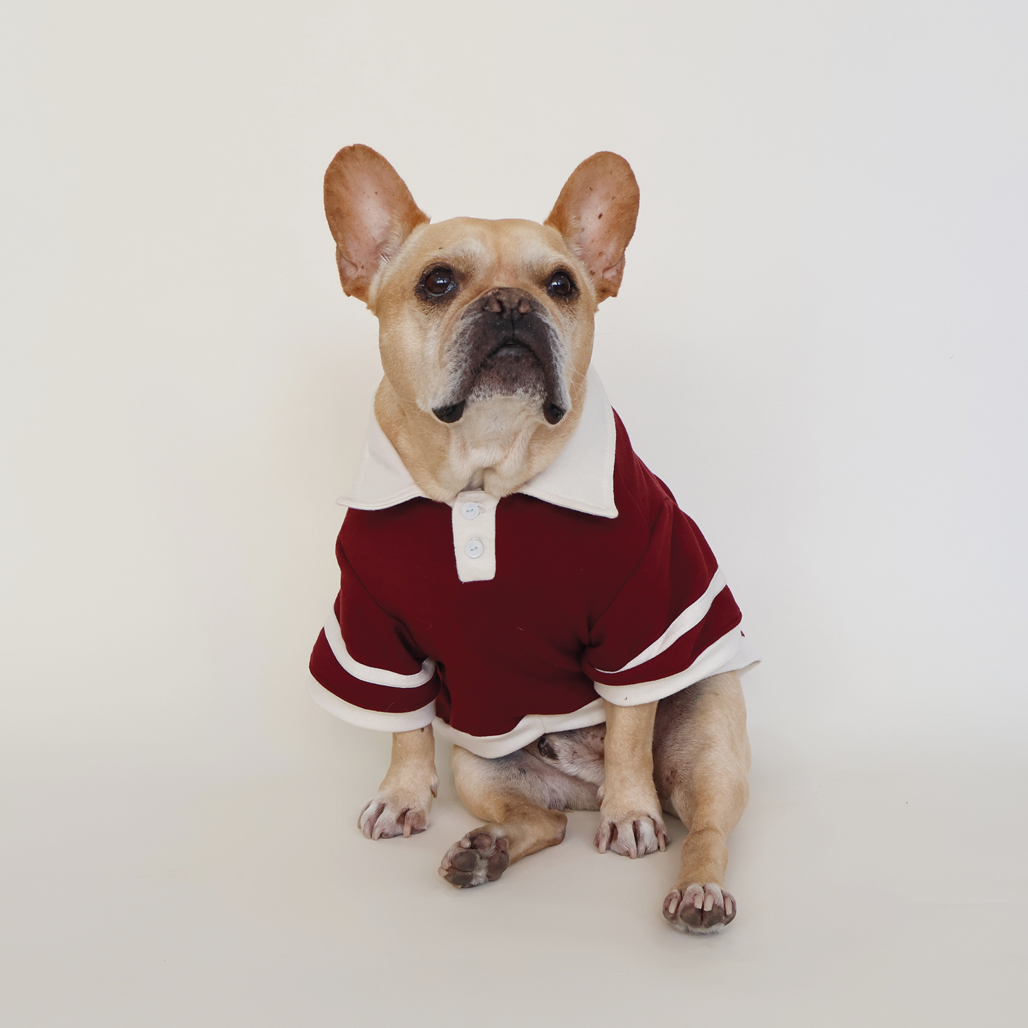 Foodie Sweatshirt