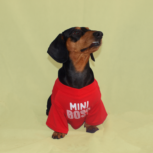 "Mini Boss" T-Shirt