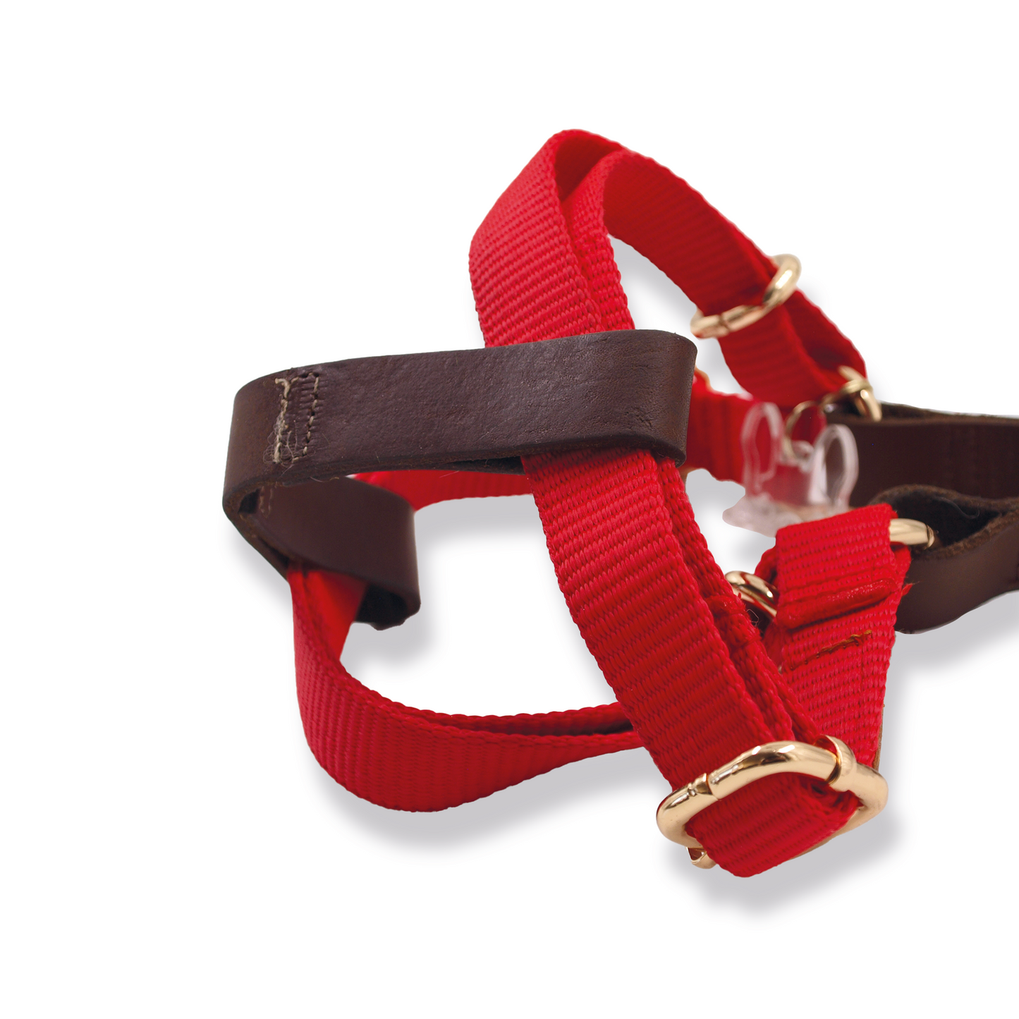 Red Harness