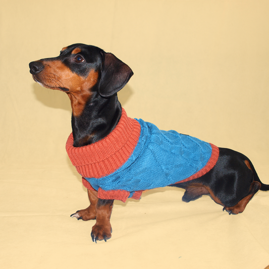 Ropa para Mascotas – Cleto El Influencer