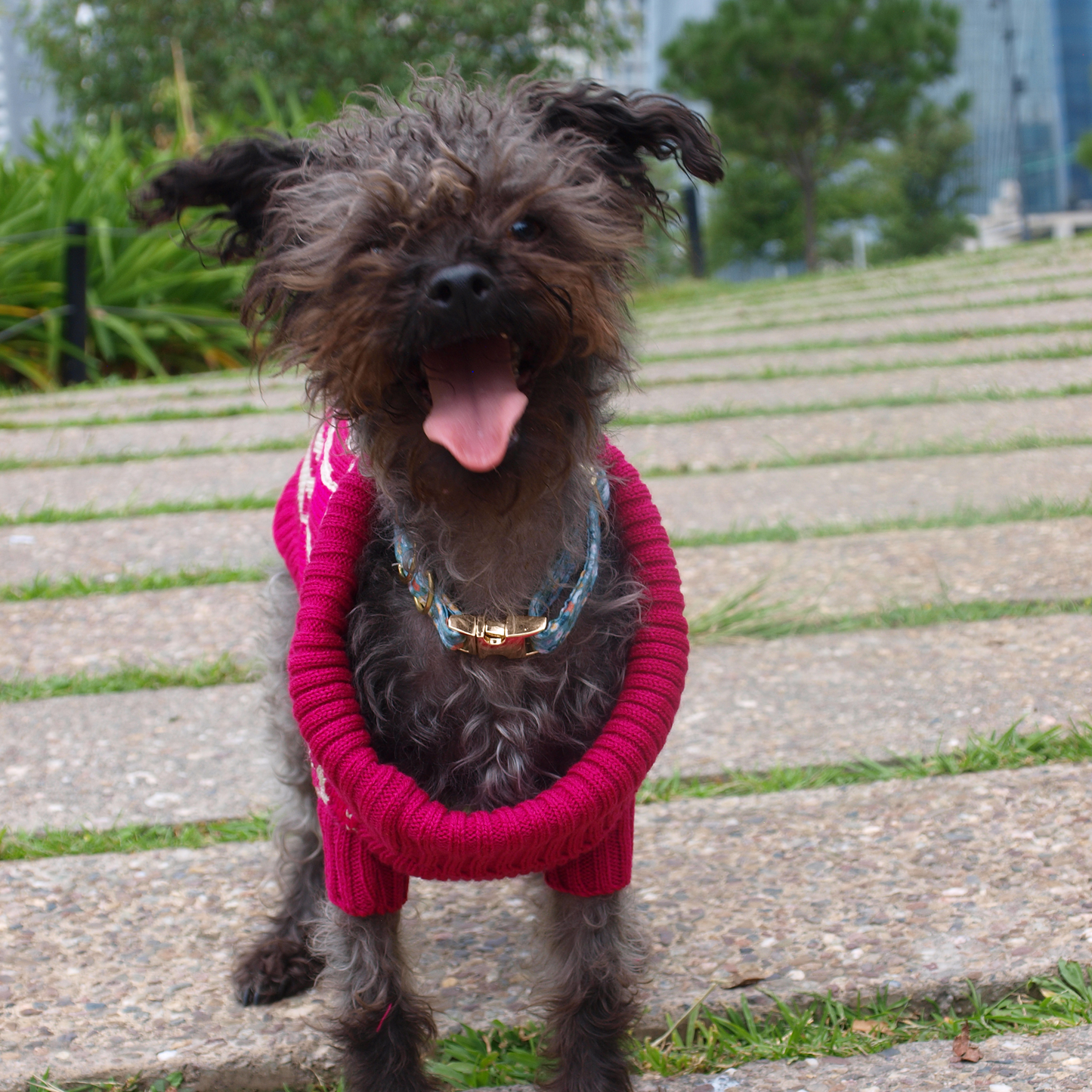 Groovy Groovy Sweater