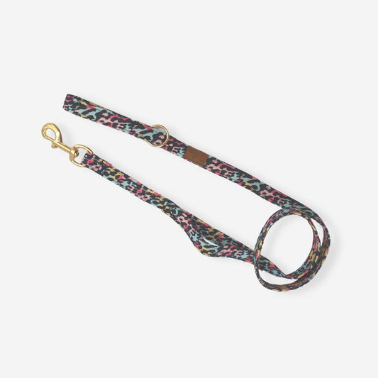 Leopard Party Leash