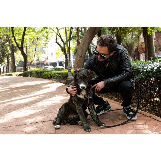 Modelo y perro en parque con correa manos libres negra.