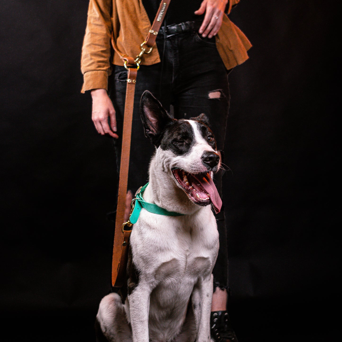 Female model in black jeans and brown jacket with a large sized dog next to her. She is wearing a hands free leash holding the dog.