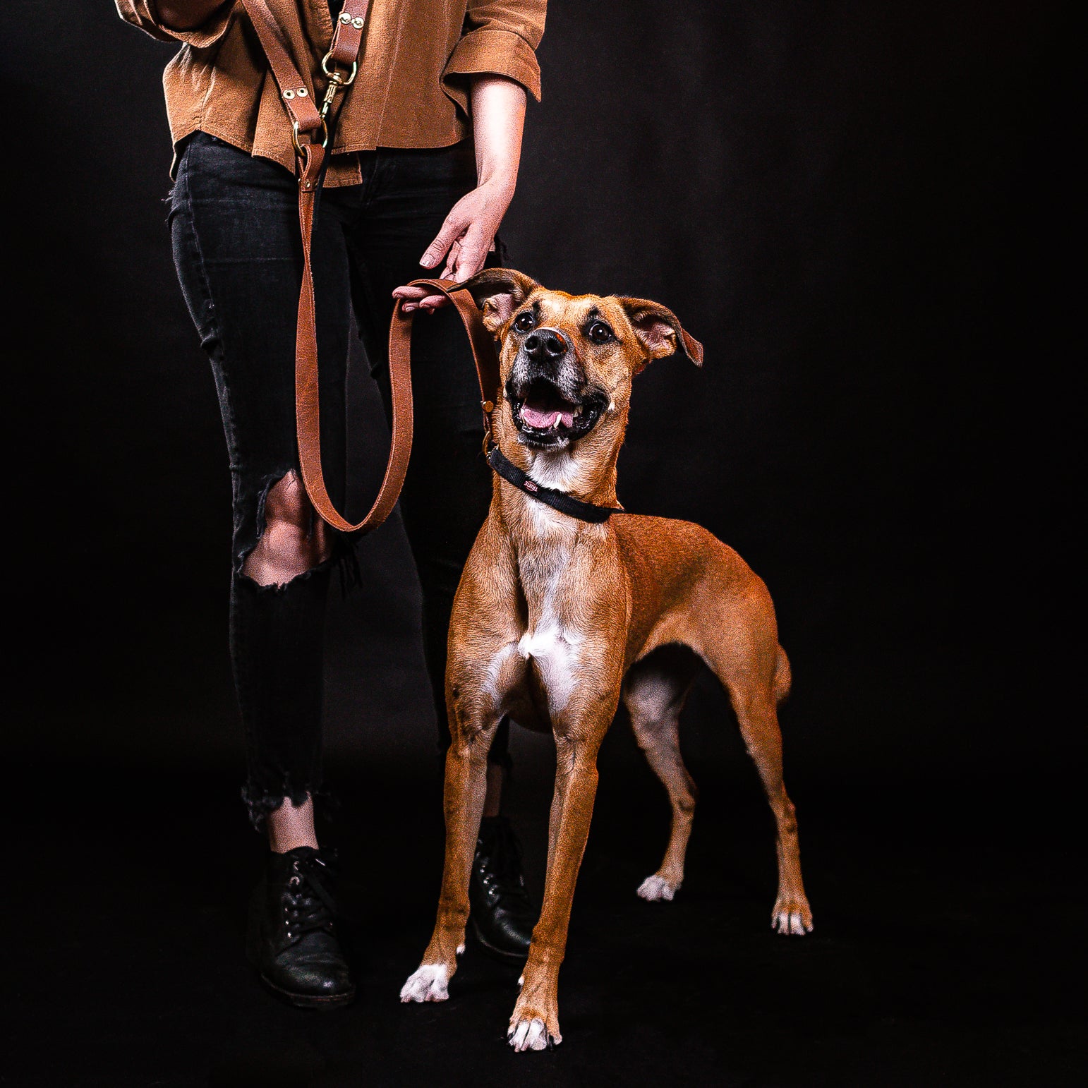 Female model in black jeans and brown jacket with a large sized dog next to her. She is wearing a hands free leash holding the dog.