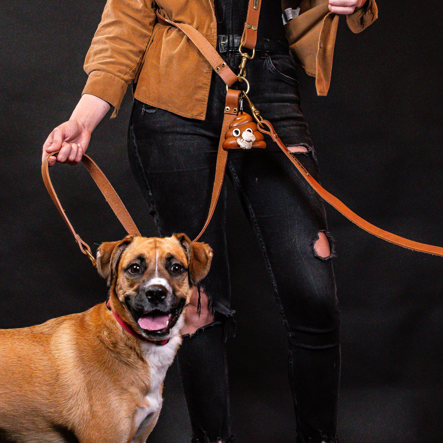 Hands-Free Brown Leather Leash