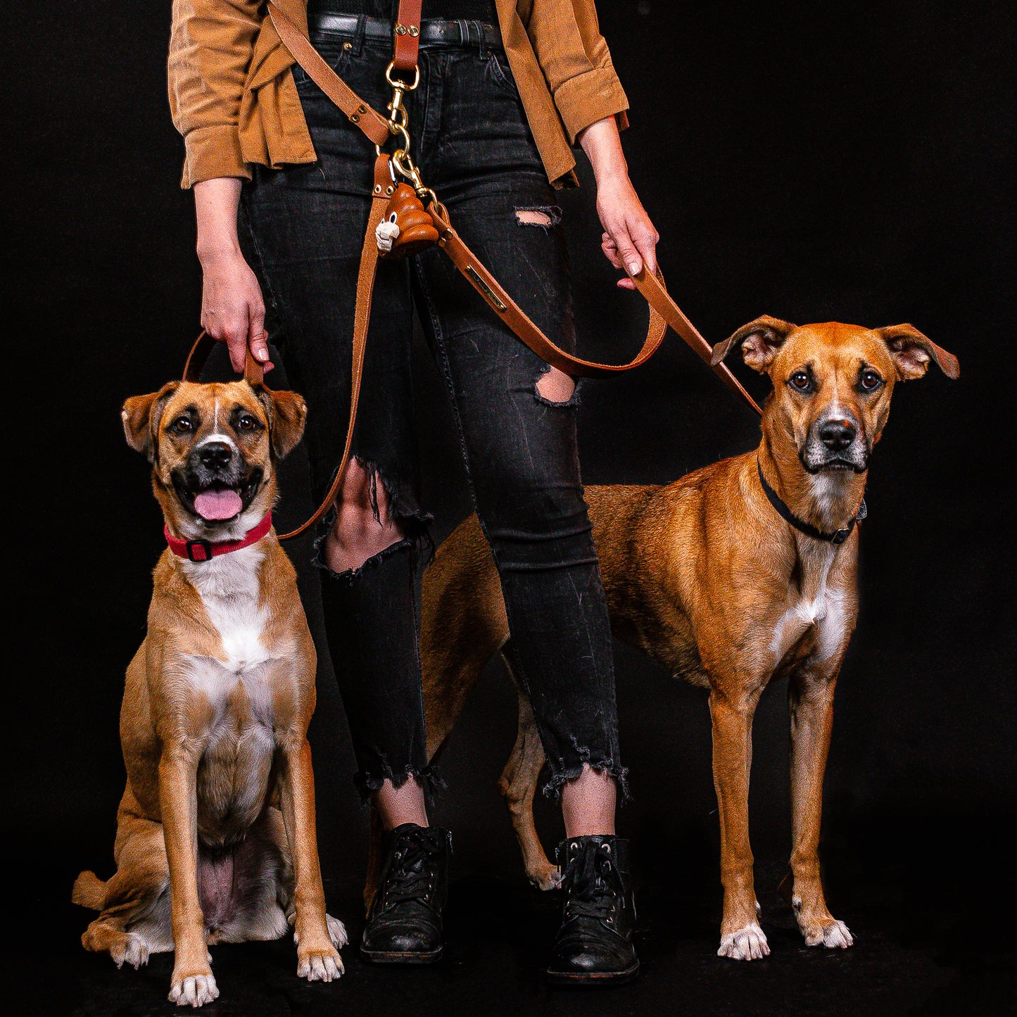 Hands-Free Brown Leather Leash