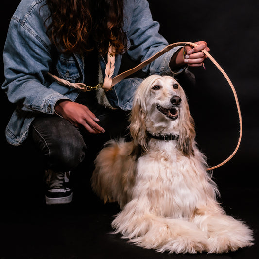 Hands-Free Nude Leather Leash